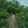Hanging Bridges Tour - Image 2