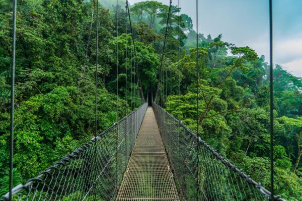 Hanging Bridges Tour - Image 2