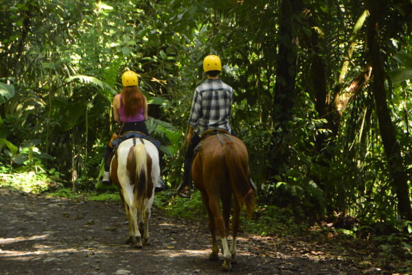 Horseback Riding Tour and Maleku Villa - Image 4