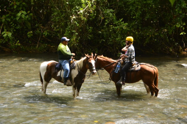 Horseback Riding Tour and Maleku Villa - Image 2