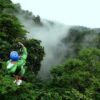 Zip Line Extreme 7 Cables - Image 3