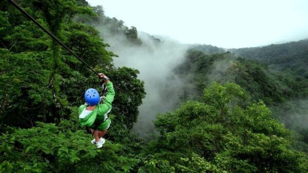 Zip Line Extreme 7 Cables - Image 3