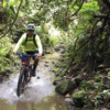 Arenal Biking Tour at El Castillo - Image 2