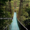 Full day Hiking + Hotsprings - Image 4