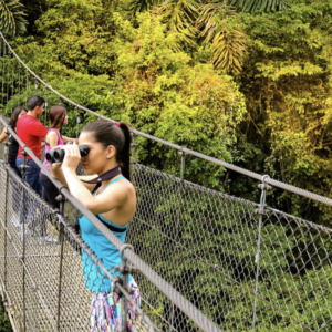 Combo Volcano + Waterfall + Hanging Bridges