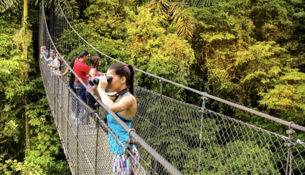 Combo Volcano + Waterfall + Hanging Bridges