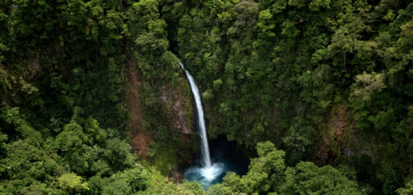 Combo Volcano + Waterfall + Hanging Bridges - Image 9