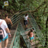 Hanging Bridges + La Fortuna Waterfall - Image 8