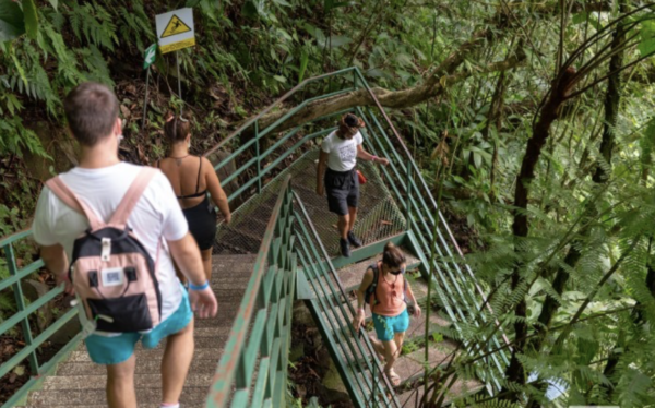 Hanging Bridges + La Fortuna Waterfall - Image 8