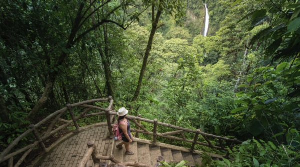 Arenal Volcano Hike + La Fortuna Waterfall - Image 2