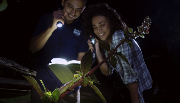 Nocturnal Experience Night Hike - Image 2