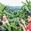 Chocolate and Coffee Tour - Image 4